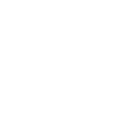 damian-werner-weiss